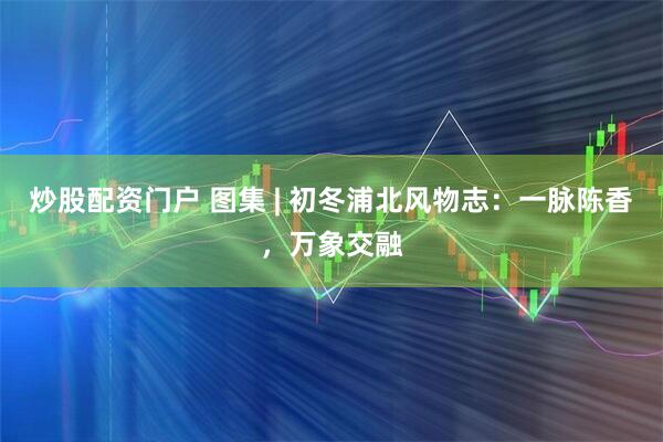 炒股配资门户 图集 | 初冬浦北风物志：一脉陈香，万象交融